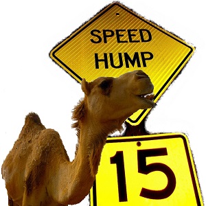 Guess What Day It Is?  It’s Hump Day!  Speed Hump Day to be exact!